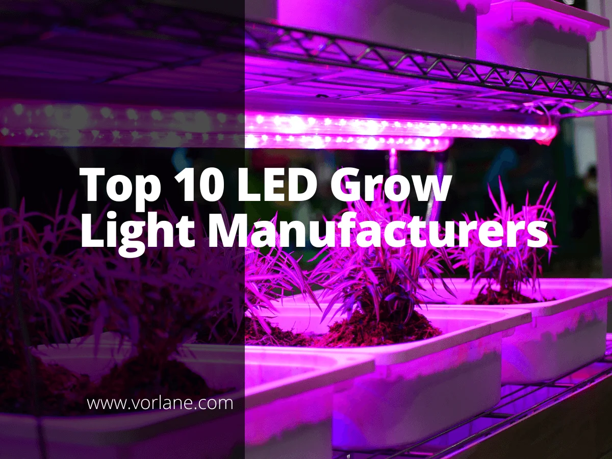led grow light manufacturer 1 - Top 10 LED Grow Light Manufacturers [2025 Updated]- Vorlane - Vorlane