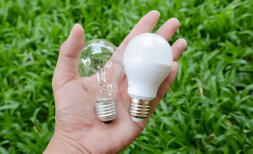 A person holding LED and incandescent light bulbs showcasing the difference between the two lighting technologies - What Is The Difference Between LED And Incandescent Lighting? - Vorlane