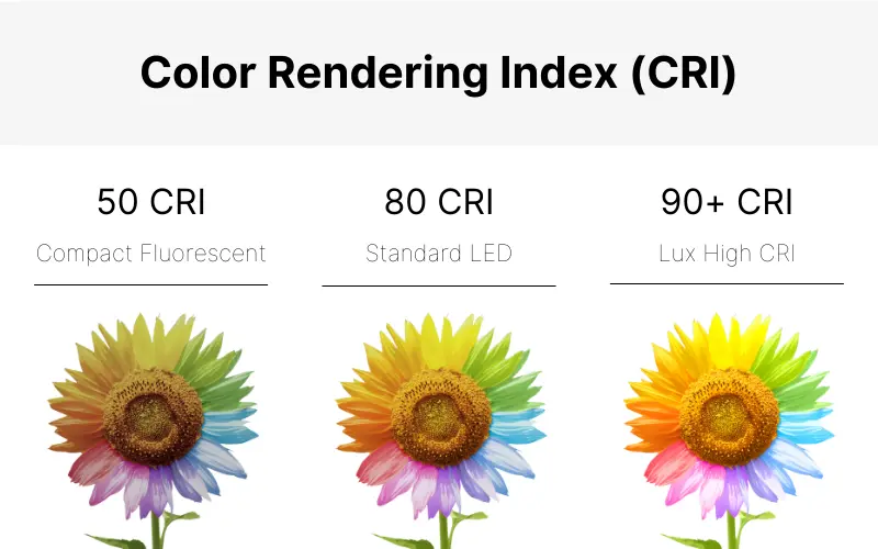 CRI chart displaying how accurately a light source renders colors compared to natural light - What is CRI? The Ultimate Guide to the Color Rendering Index - Vorlane
